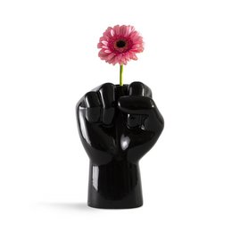 FCKVASE