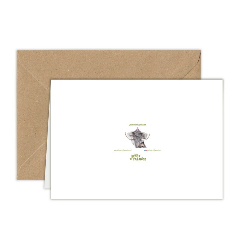 Funny Elephant Birthday Card, Greeting Card, 4.72'' x 6.69''