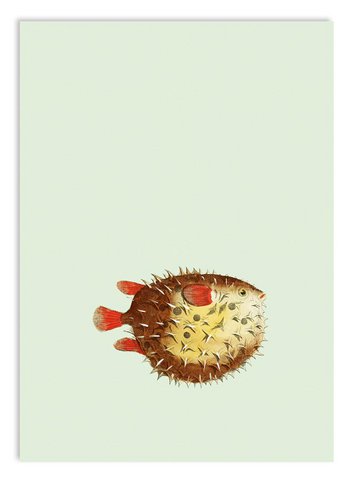Miniprint A5 Gossip