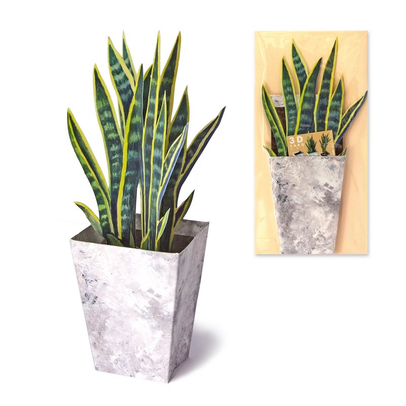 Carte fleur 3D Sanseverie