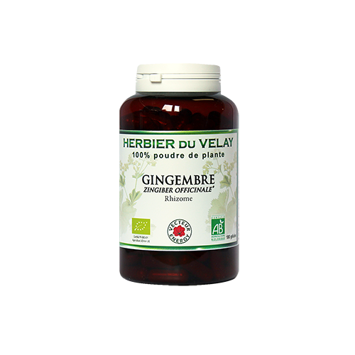 Gingembre * 180 gels 400mg ue / no ue