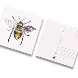 Kaart bij kleur zonder envelop
