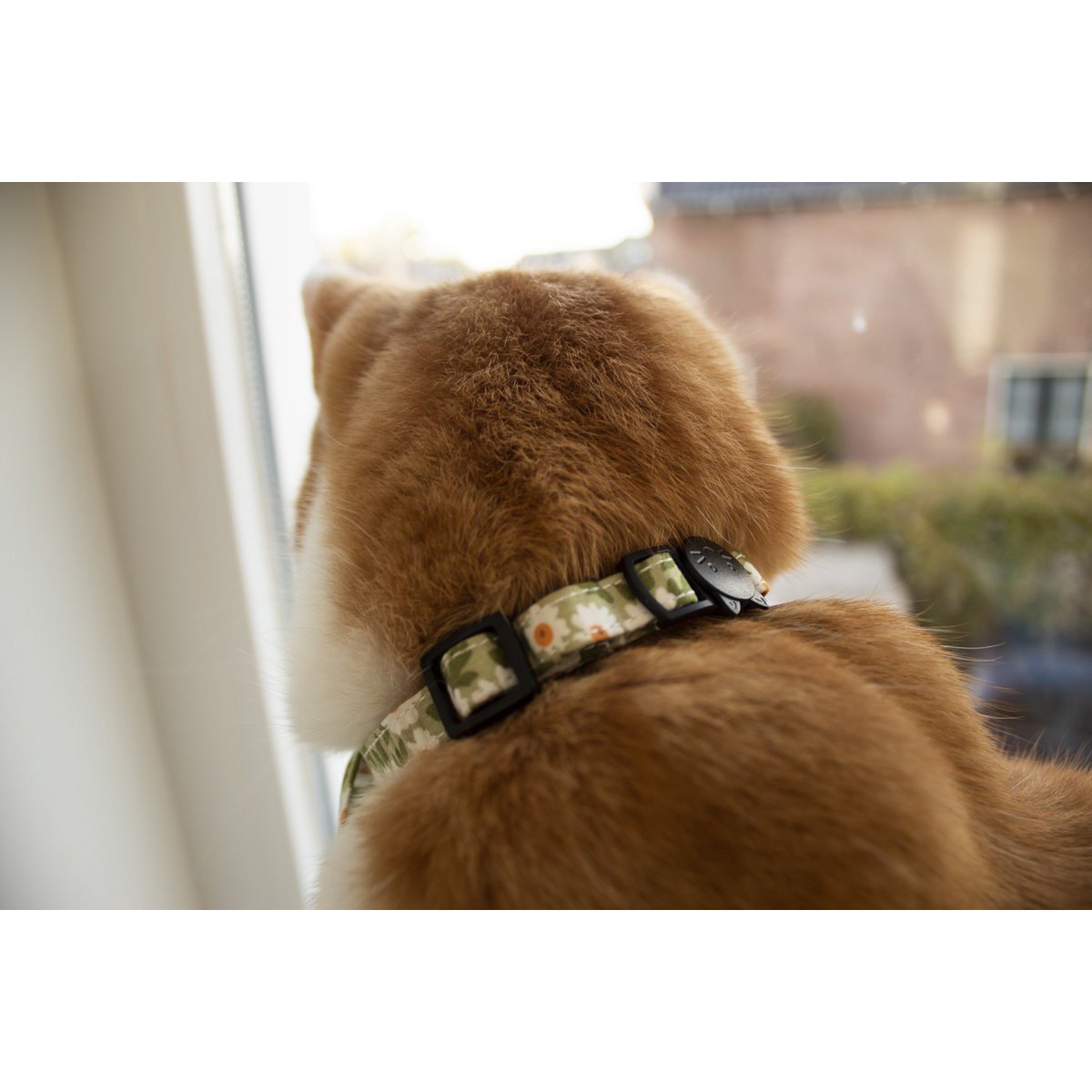 ByTiekeman - Collar para gatos - Verde/Blanco - 20-30 cm