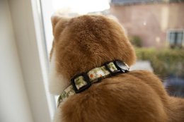 ByTiekeman - Katzenhalsband - Grün/Weiß - 20-30 cm