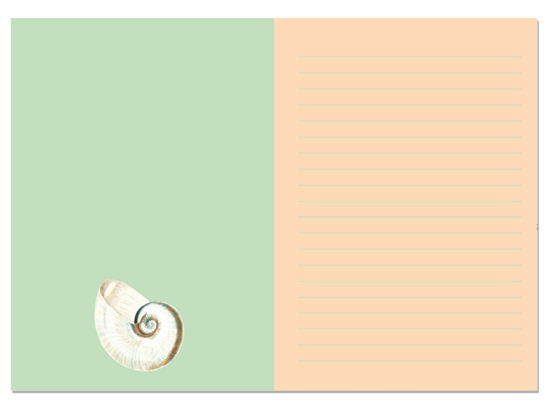Notizblock A5 Nautilus