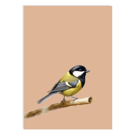 Postkarte Just Friends (great tit)
