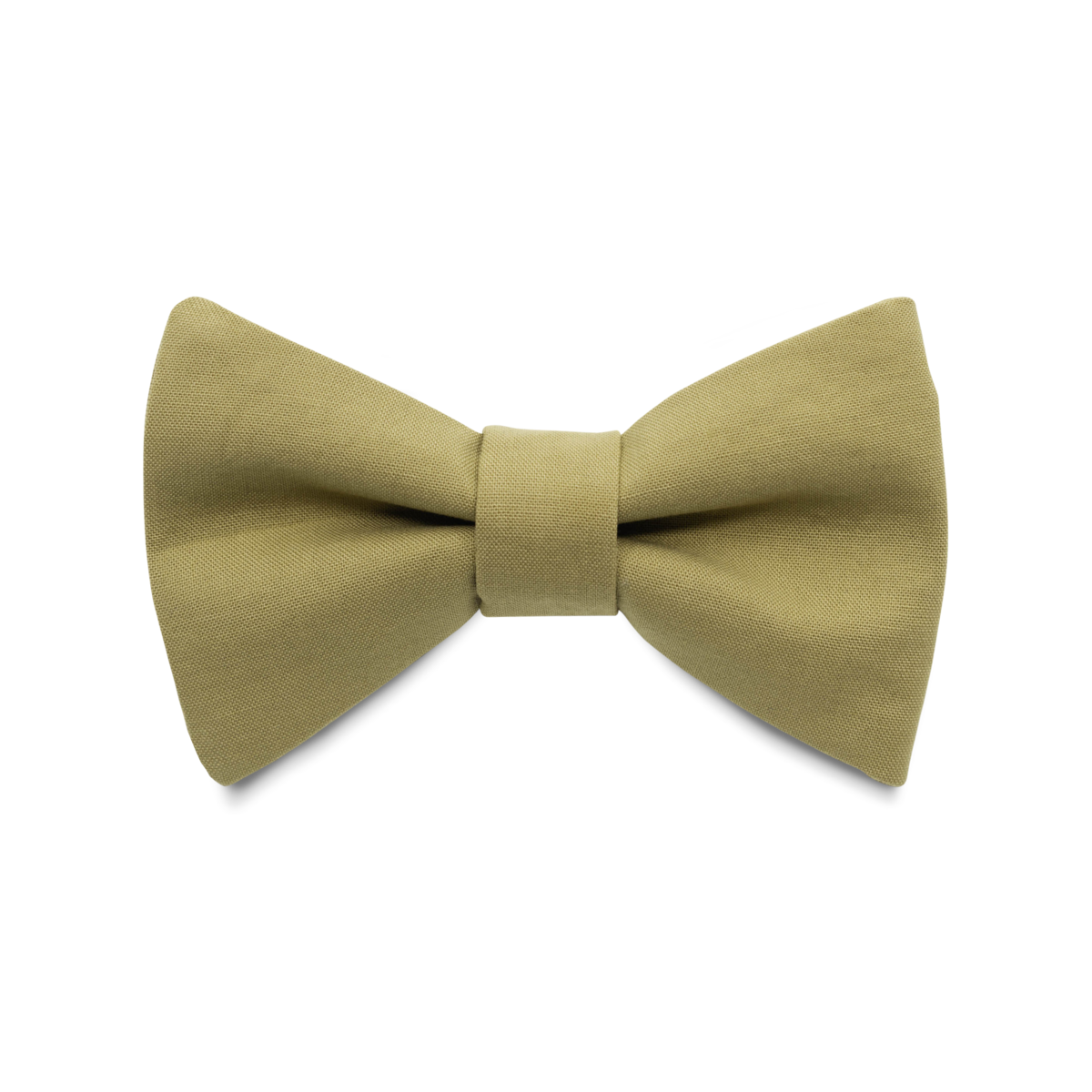 Bow tie Camel