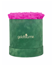 Velvet Green Collection