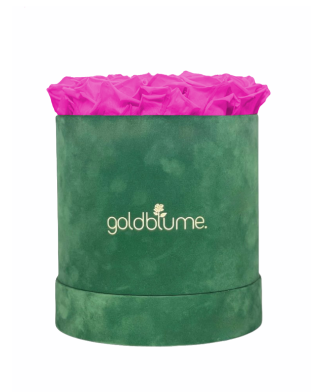 Velvet Green Collection