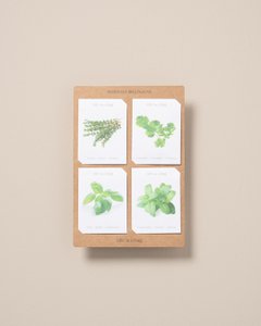Herb Seeds - Pack of 4
