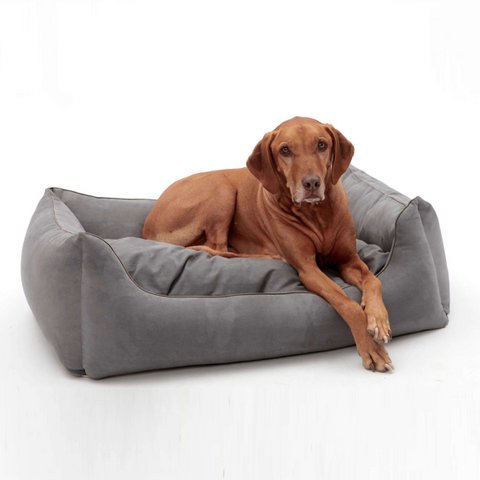 Hundebett Box Bett Alcanterra anthrazit