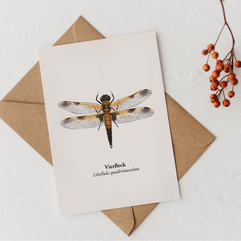 Postkarte Libelle – Miniprint Vierfleck Libelle