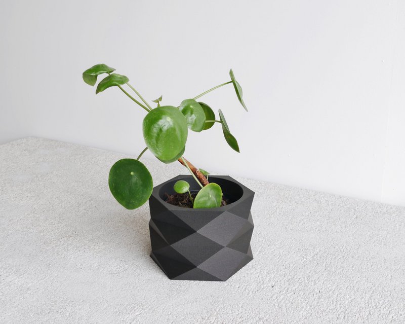 DIAMANT Kamerplanter