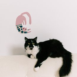 Ramen the cat – wooden wall decoration, interior design