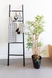 Tiseco Home Studio
