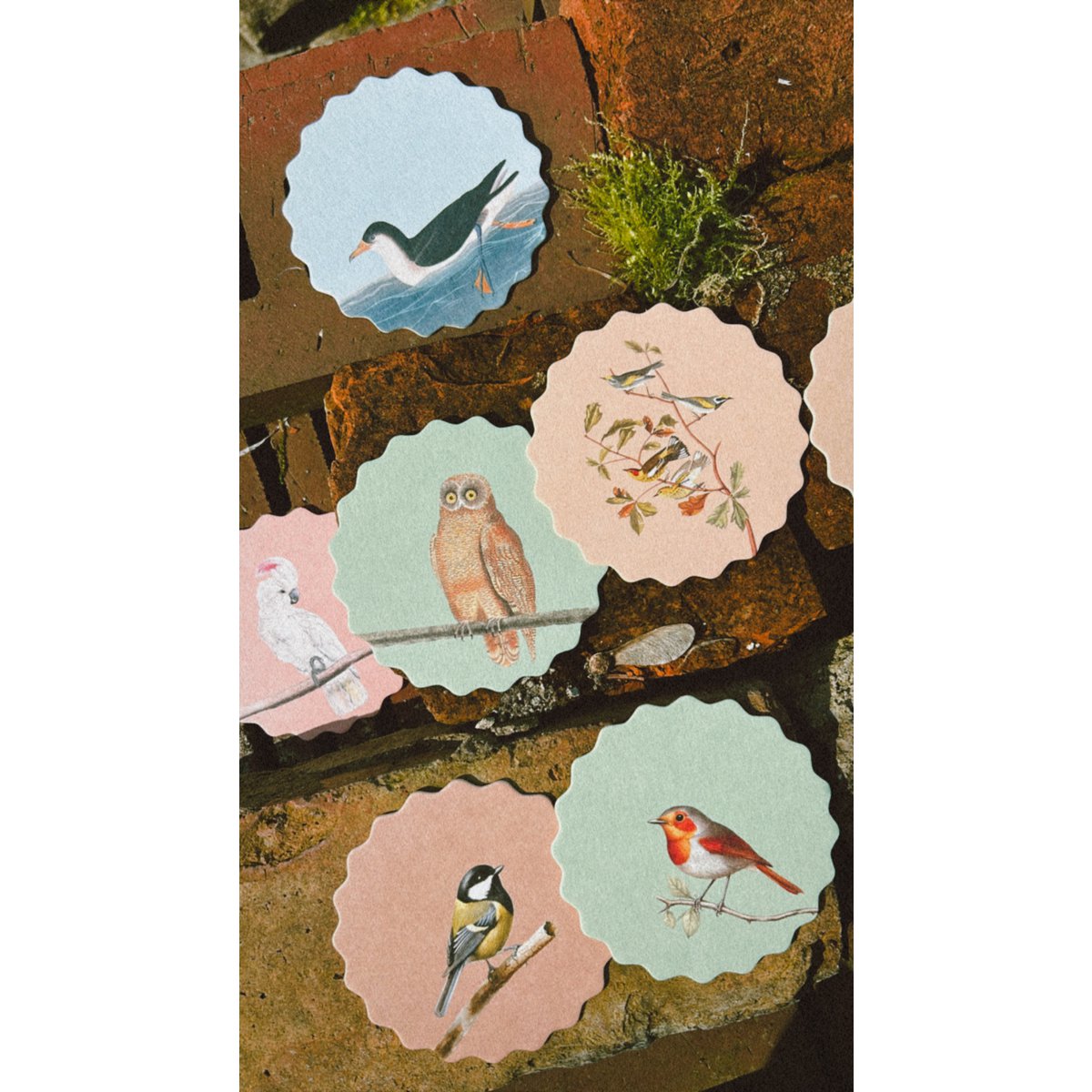 Posavasos/Posavasos 10 motivos pájaros - 12 juegos
