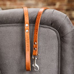 No fuss dog leash | Camel