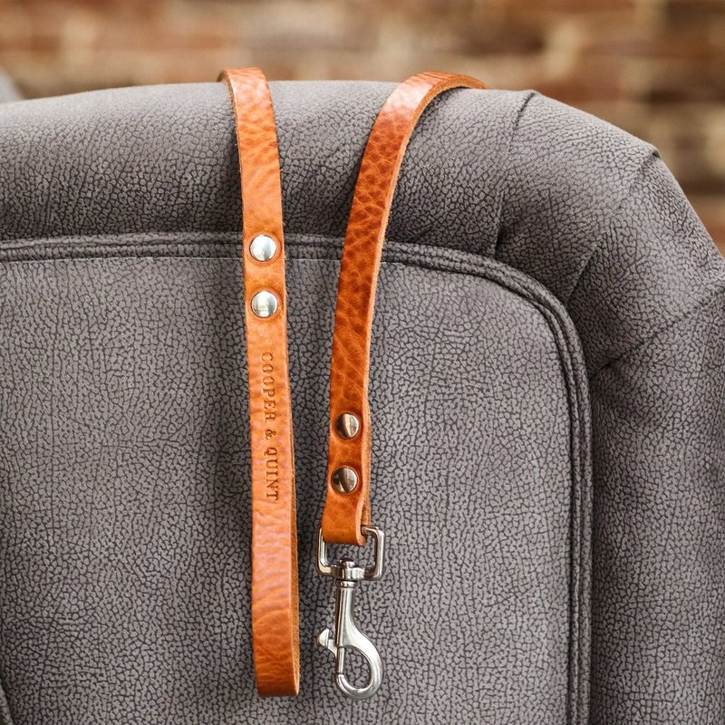 No fuss dog leash | Camel