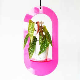 Neon pink oval plant hanger, 30 cm in size, designed to hold and display potted plants.