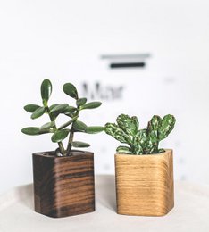 Square Planter