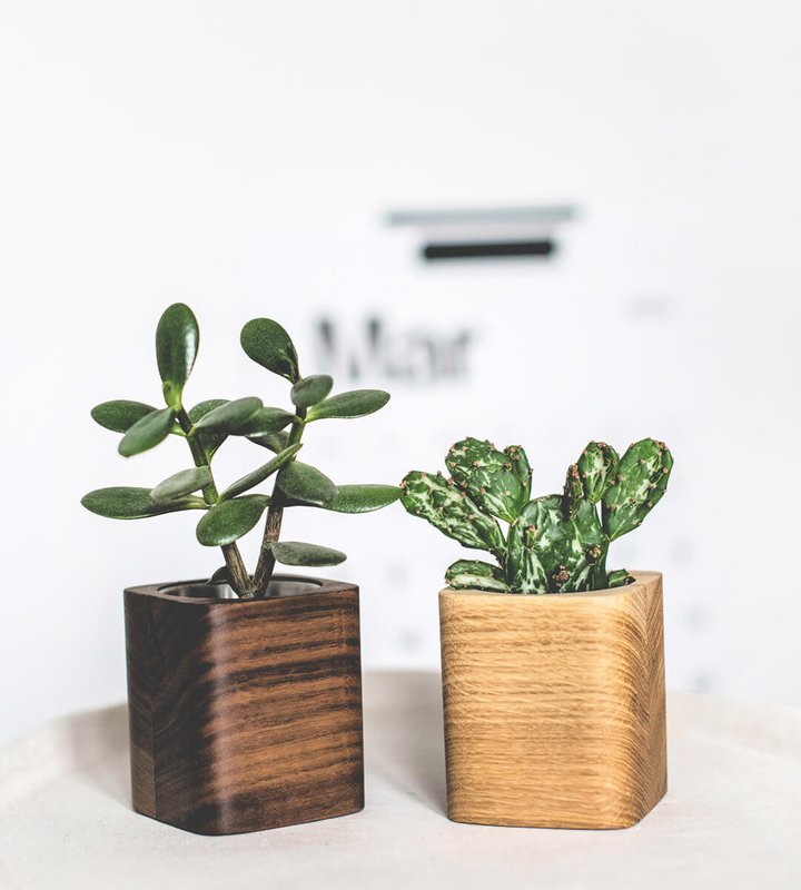 Square Planter