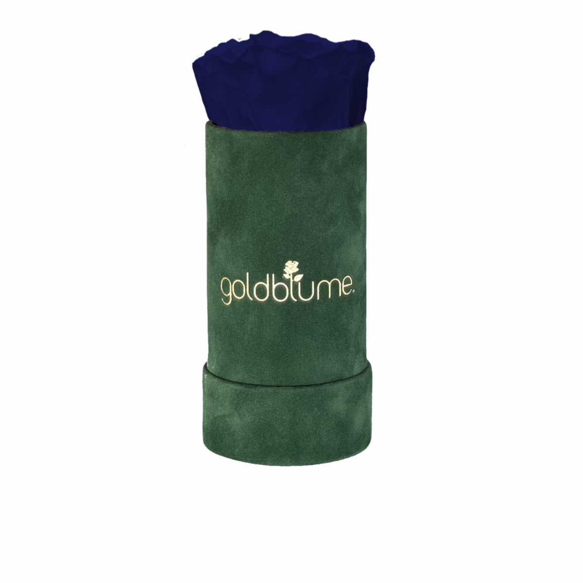 Velvet Green Collection