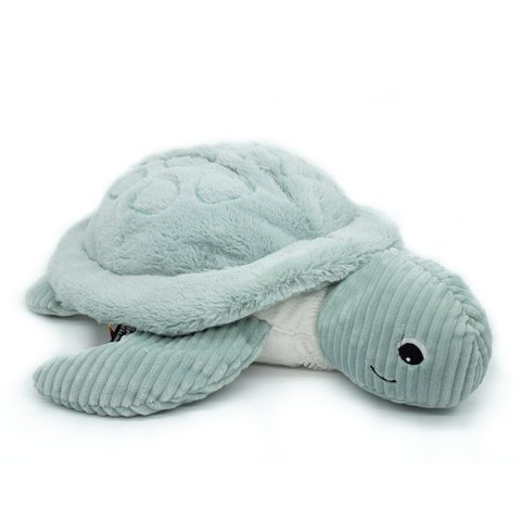 Ptipotos de reuzenschildpad mint
