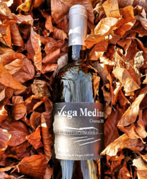 Vino rosso invecchiato D.O.Ca. Medina della Rioja Vega