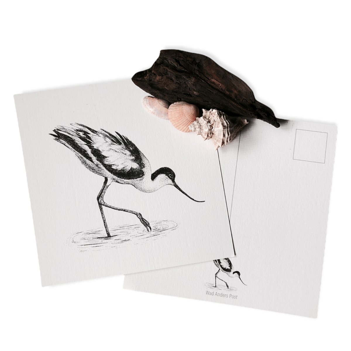 Tarjeta de avoceta
