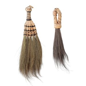 Hevan Broom, Nature, Seagrass