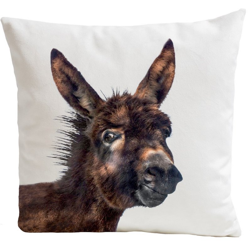 Donkey cushion, Baby Donkey