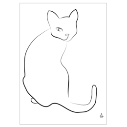 Chat