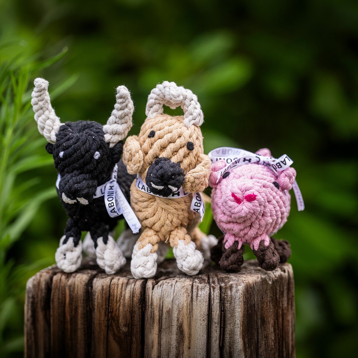 Hundespielzeug aus Baumwolltau Glücksschwein - PIGGY PIG