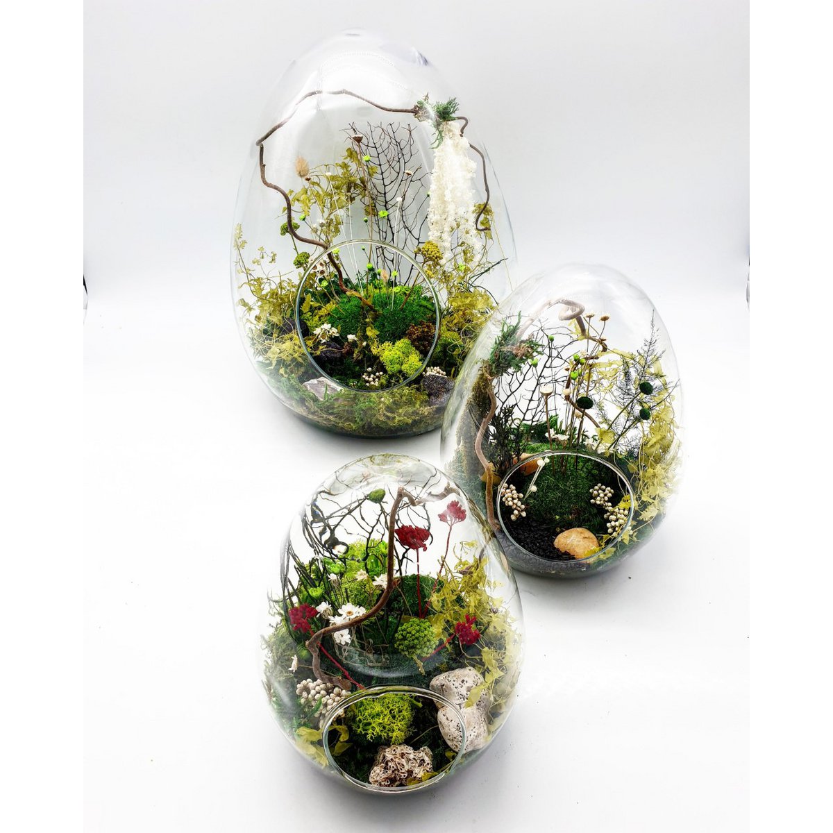 Stabilized egg terrarium