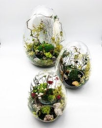 Stabilized egg-shaped terrarium with assorted dried flowers, moss, and miniature figurines. Available in small, medium, and large sizes.