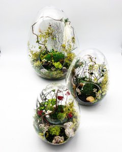 Stabilized egg terrarium