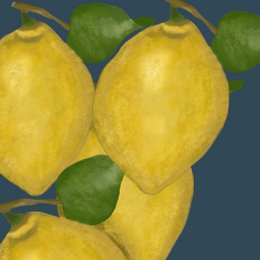 Et par plakat citroner