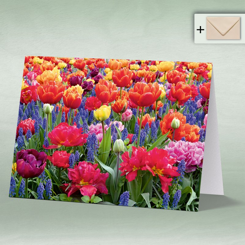 Greeting card, double card Eye 8173 Tulpe with grape hyacinth, spring flowers