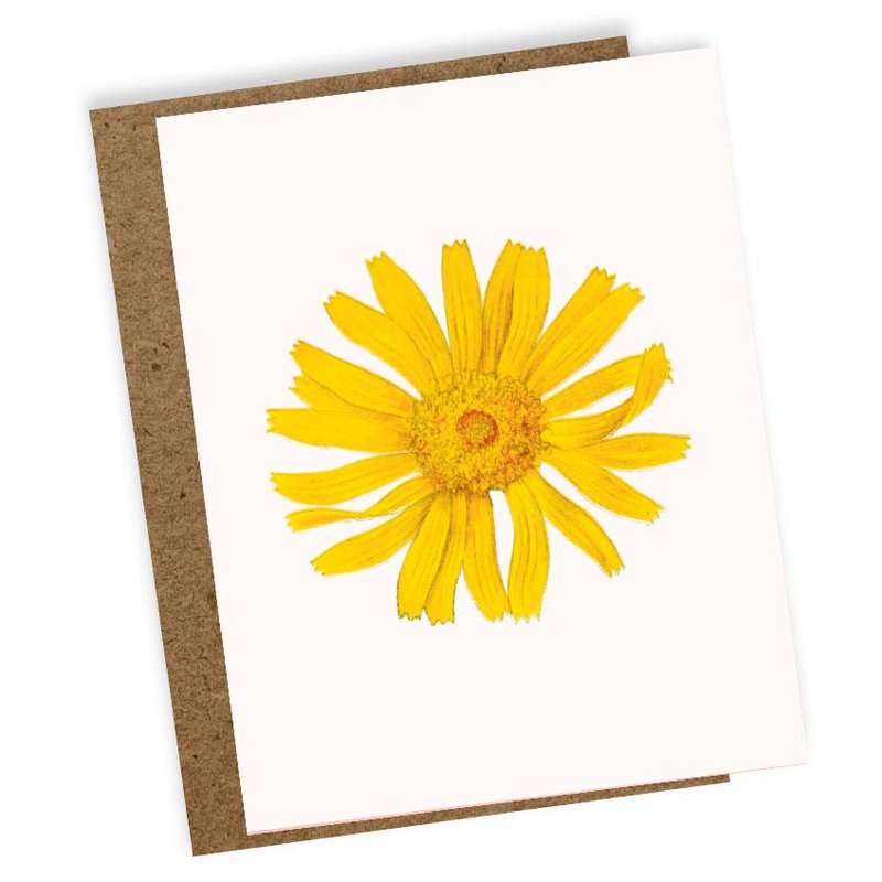 Mini tarjeta de felicitación Árnica (flor)