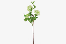 Kunstbloem Viburnum opulus wit- L8B8H86CM