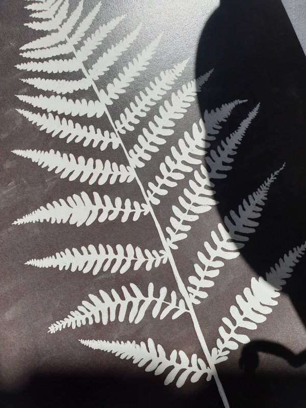 Scandi Fern Poster "White Fern" A4 - Stampe d'arte sostenibili su carta riciclata in cellophan