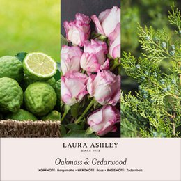 Dowindo Laura Ashley Muschio di quercia e legno di cardo - 400 g