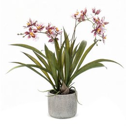 Planta artificial - Orquídea - Burdeos - 45cm