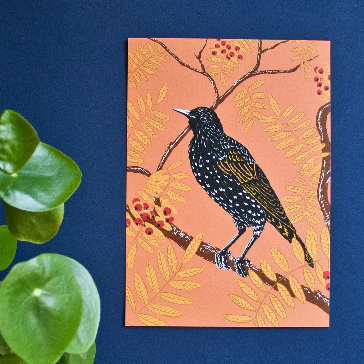 Star Poster A4