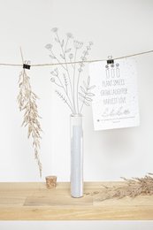 100 momentos de felicidad - momentos de felicidad %23flores de campo (semillas en papel de cultivo)