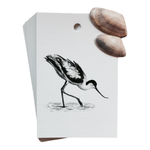 label avocet
