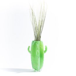 Cactus Big Vase (med Tillandsia Plant)