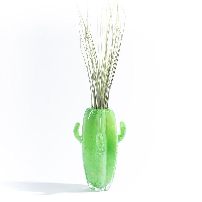 Cactus Big Vase (med Tillandsia Plant)