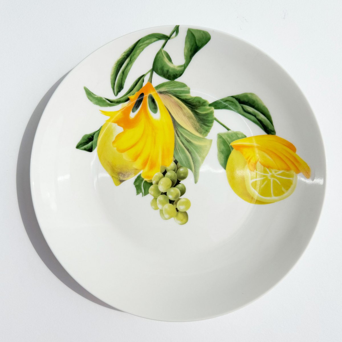 Botanical Wonders - Set of 4 breakfast plates