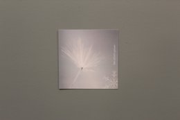 A delicate, white gift tag with a soft, radiant design resembling a dandelion or snowflake. The tag has a minimalist, elegant appearance suitable for various occasions.